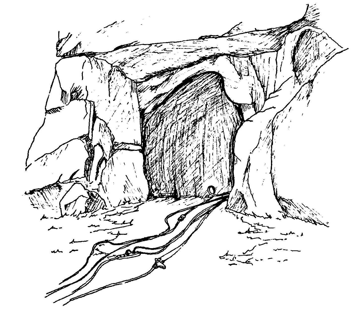 An illustration of several cables and wires trailing out of the dragon's dark cave