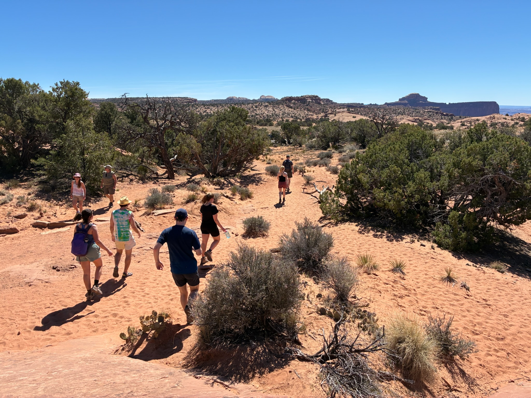 friends on the move along a dusty trail
