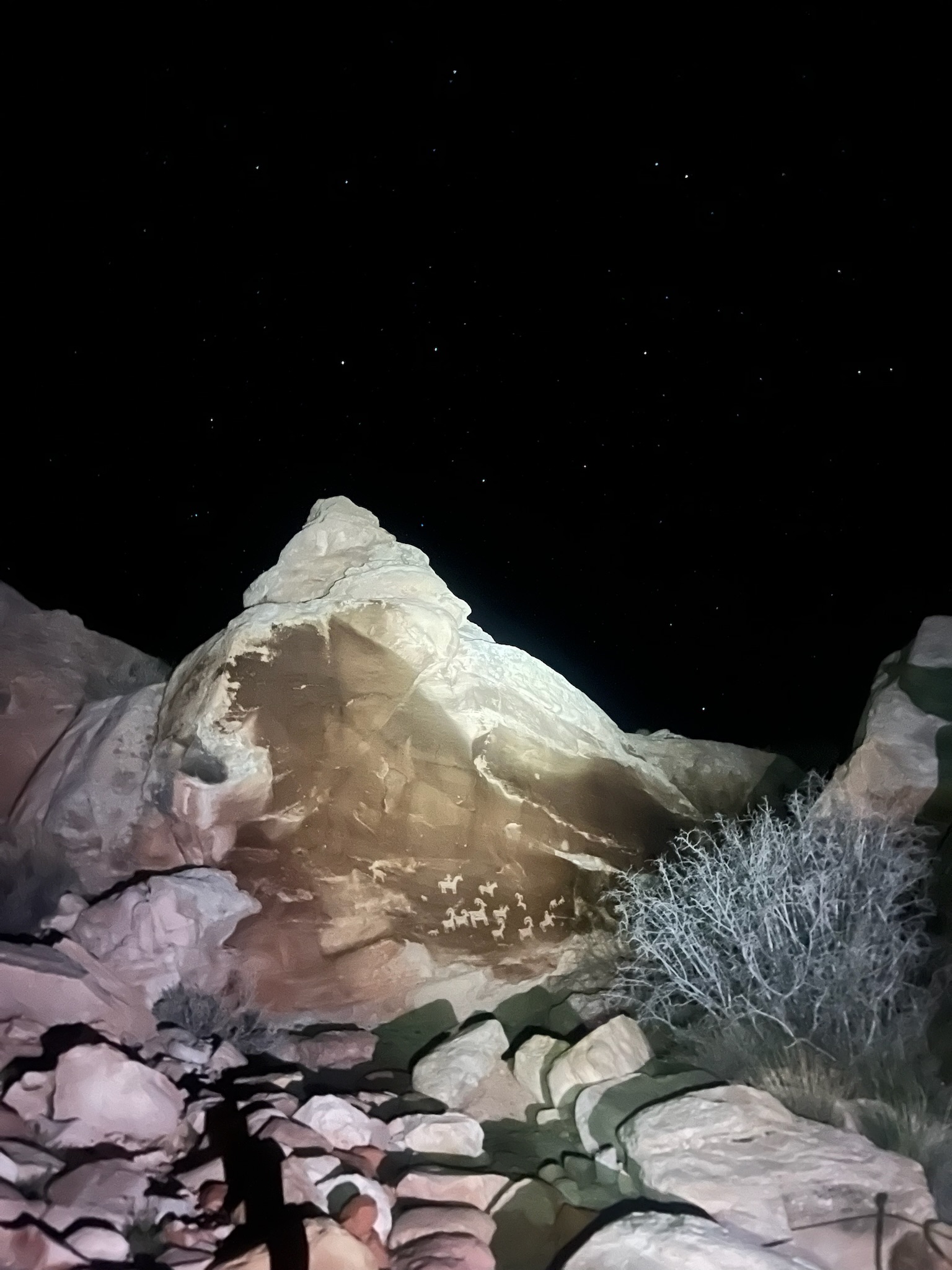 A nighttime photo of a rock wall carved with ancient petroglyphs with stars above